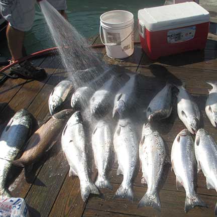 fishing photo